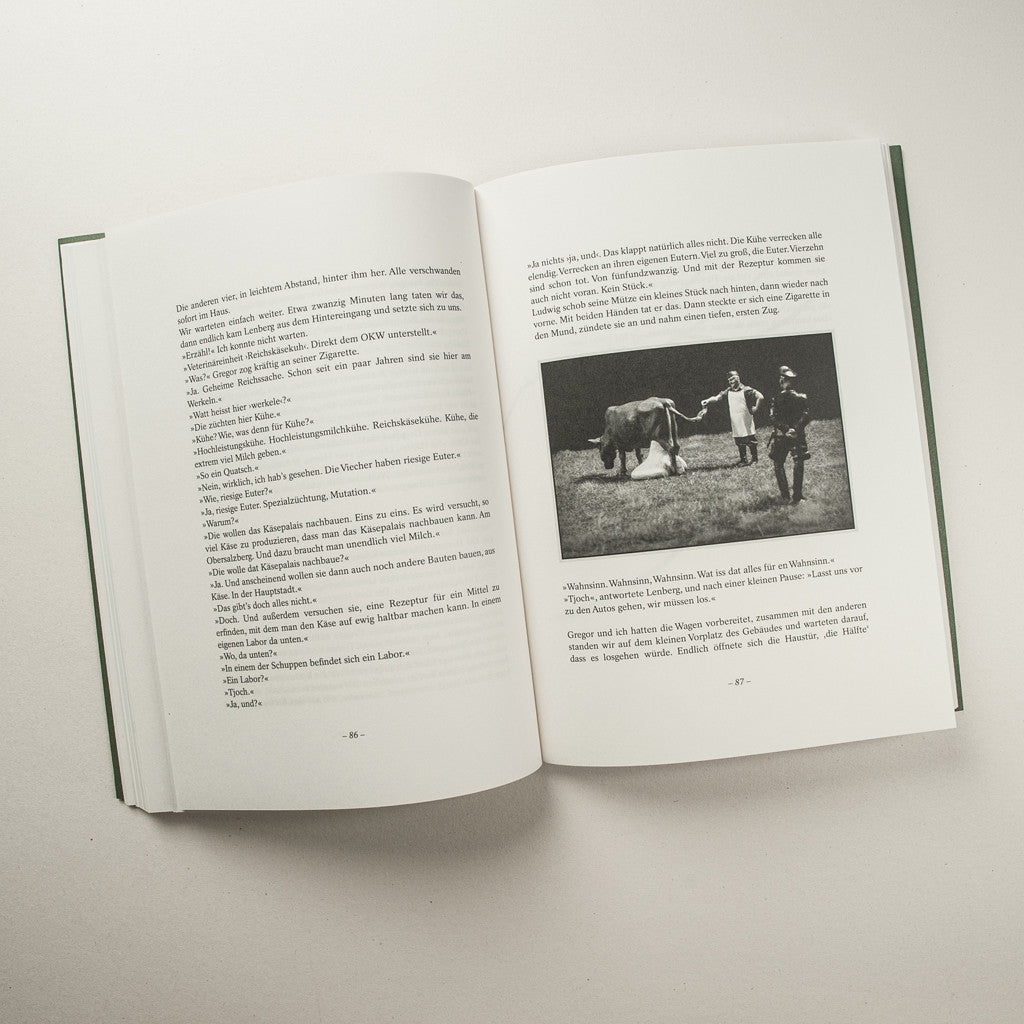'Milchschweine & Sirenen', Issue #1. Short Stories. Book